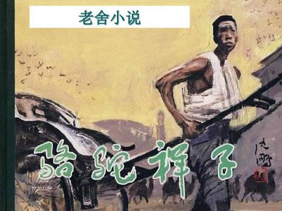 我的瑜伽教练韩剧免费完整版